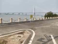 -芒洲湿地公园
