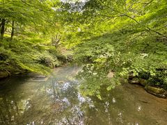 -杭州半山国家森林公园