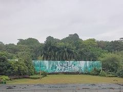 -深圳野生动物园