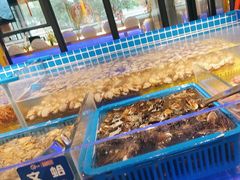 -锅儿欢海鲜火锅烤肉自助餐(东港凯虹店)