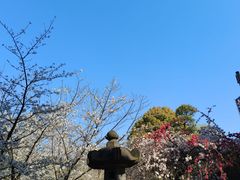 -上野公园花园稻荷神社(忍岡稲荷神社)
