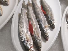 -杨记海鲜楼(三门黑金冠店)