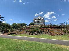 -墨尔本皇家植物园