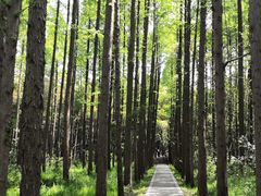 -同里国家湿地公园