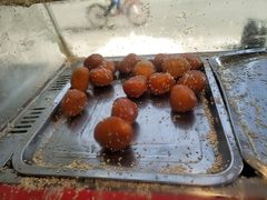 -崇州余荞面(落虹桥店)
