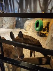 点击看大图 -酷嗒动物文化乐园(cutezoo西溪乐天城店)