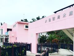 -南丫岛