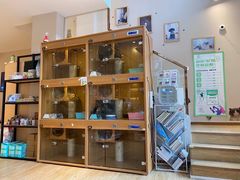 -Pets First伊珊娜洗护·精致美容·家庭式寄养(新会路店)