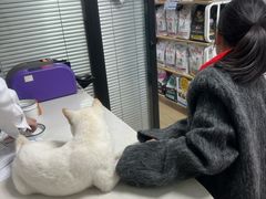 -瑞派天使宠物医院·神经外科·骨科·核磁CT(洛川中路店)