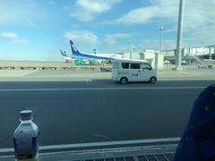-全日本空输株式会社(上海办事处)