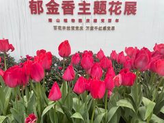 -南山植物园