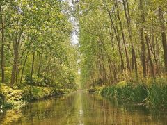 -合肥滨湖国家森林公园