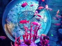 -沈阳海洋探索中心