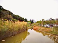 -飞凤山奥体公园