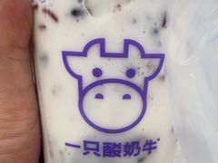 -一只酸奶牛(时代天街A馆店)