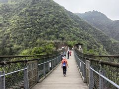 -娄山关景区
