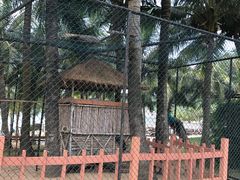 -宴悦海鲜餐厅·游水海鲜·牛排(亚龙湾瑞吉店)