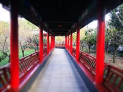 -南汇桃花村