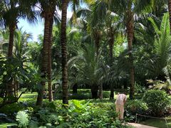 -三亚湾海居铂尔曼度假酒店