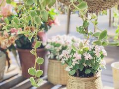 -茶米烧腊茶餐厅(石龙店)