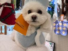 -comecome来吧宠物(奥克斯中心店)