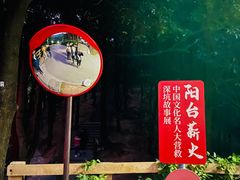 -阳台山森林公园