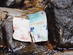 -素山寺森林公园