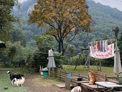 -趣多多宠物公园·宠物训犬学校·宠物寄养