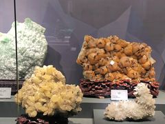 -湖南省地质博物馆