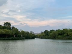 -青枫公园