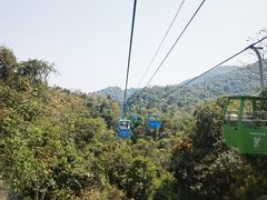 -野象谷景区