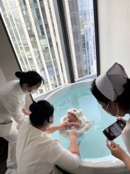 -Bella ISLA艾屿月子(北京三里屯洲际店)