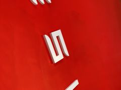 -TESLA 特斯拉(深圳观澜特斯拉直营钣喷中心)