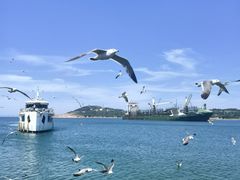 -海驴岛(荣成市)