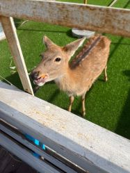 -小蜜蜂农场(凯德七宝购物广场店)