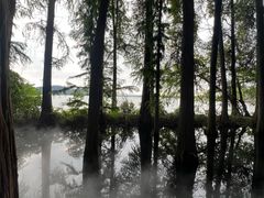 -东湖落雁景区