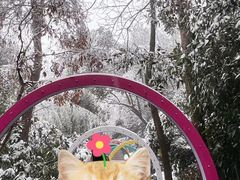 -天目湖涵田半山温泉