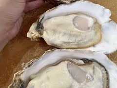 -濠轩阁特色生蚝火锅(水湾路店)