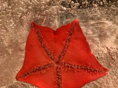 -沈阳海洋探索中心