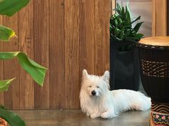 -绿房子方寸咖啡(星海名城店)