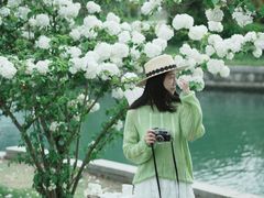 -漕湖湿地公园