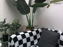 -星多哈·狗咖·拼豆·咖啡