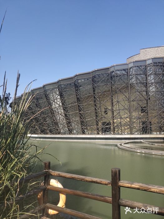 乌镇大剧院图片