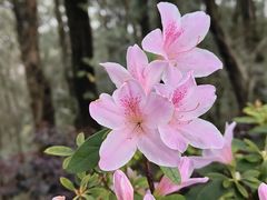 -昆明滇池国家级风景名胜区西山景区