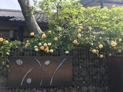 -朴家炭烤(浦东禹悦汇店)