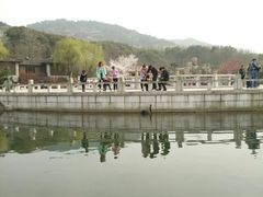 -白马涧龙池景区