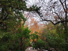 -千佛山风景名胜区