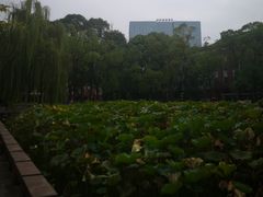 -四川大学(望江校区)