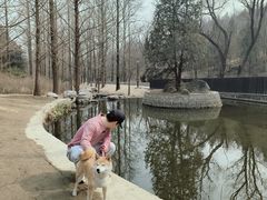 -白水寺森林公园