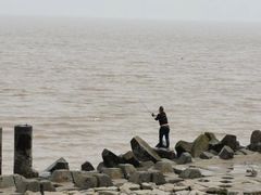 -碧海金沙